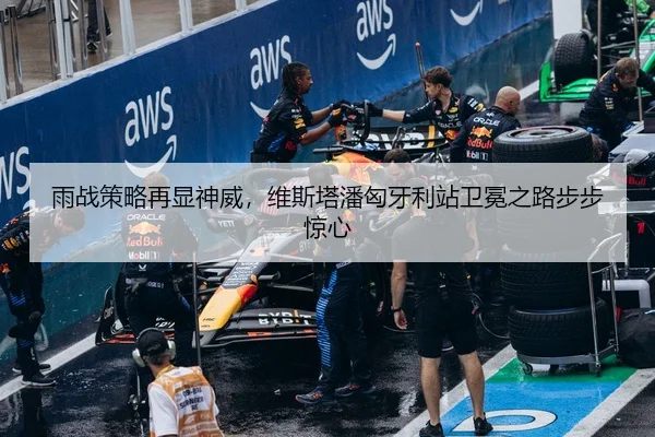 雨战策略再显神威，维斯塔潘匈牙利站卫冕之路步步惊心
